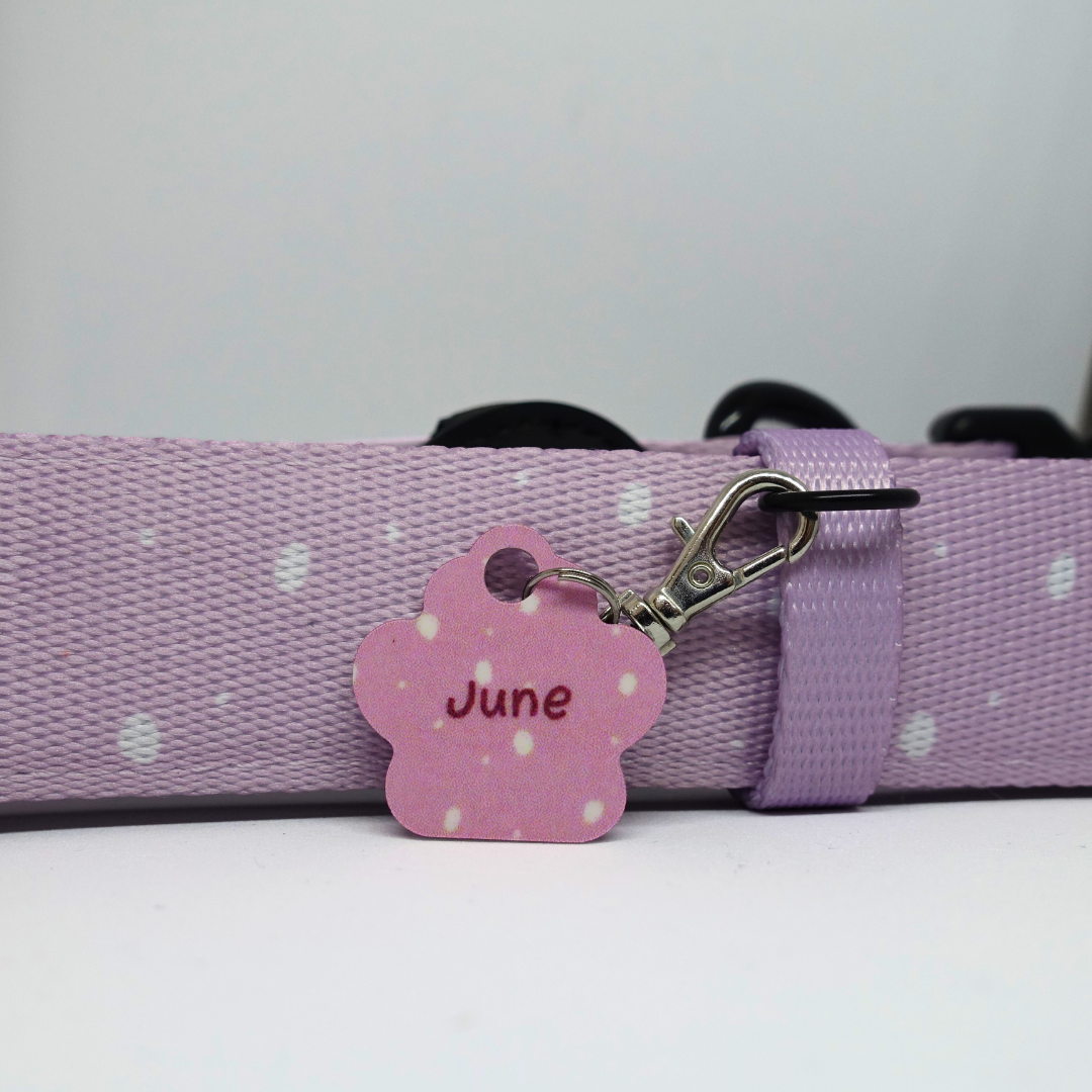 Médaille d'Identification Personnalisable pour Animaux - Forme Patte