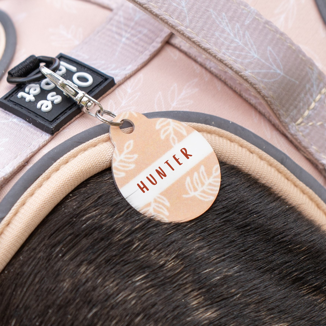 Médaille d'Identification Personnalisable pour Animaux - Forme Ronde